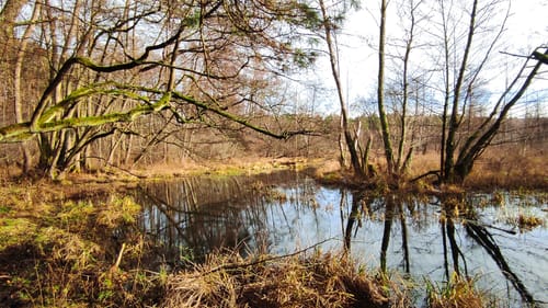 Entlang der Löcknitz von Fangschleuse