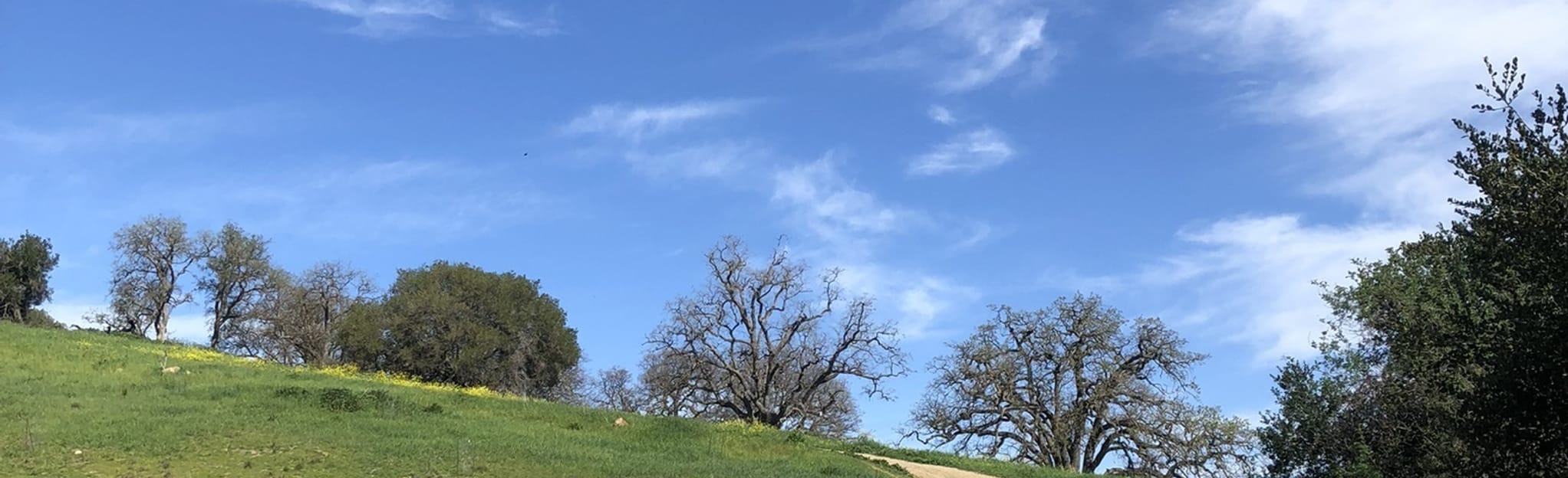 Guadalupe Oak Grove Park Loop 372 Reviews, Map California AllTrails