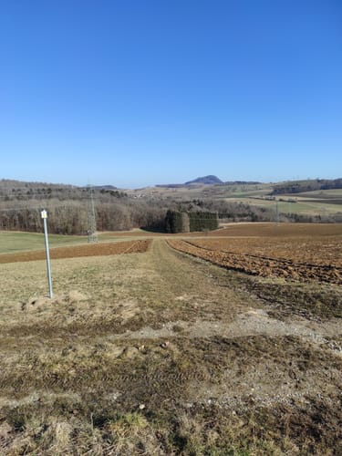 Premiumwanderweg: Wannenbergtour