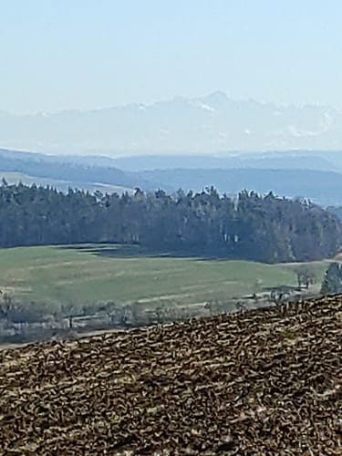 Premiumwanderweg: Wannenbergtour