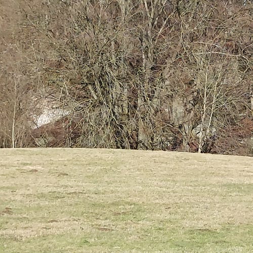 Gipskarstlandschaft Hainholz: Jettenhöhle und Marthahöhle