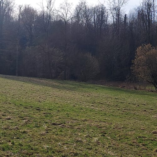 Gipskarstlandschaft Hainholz: Jettenhöhle und Marthahöhle