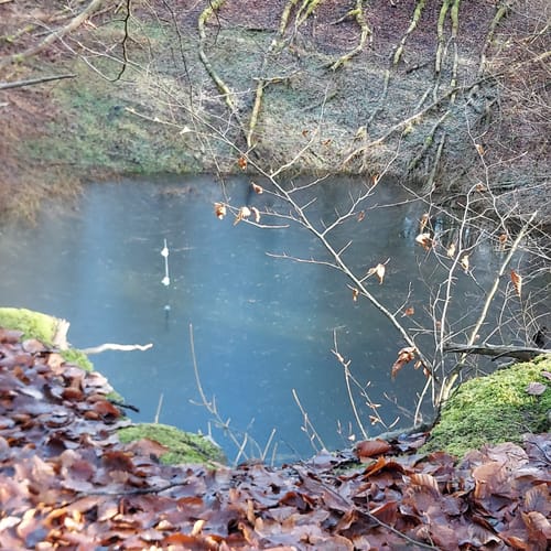 Gipskarstlandschaft Hainholz: Jettenhöhle und Marthahöhle