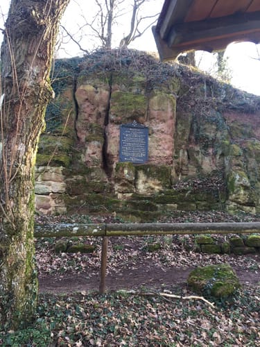 Burgruine Stauf Rundweg