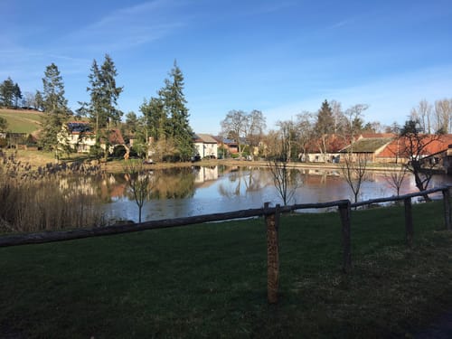 Burgruine Stauf Rundweg