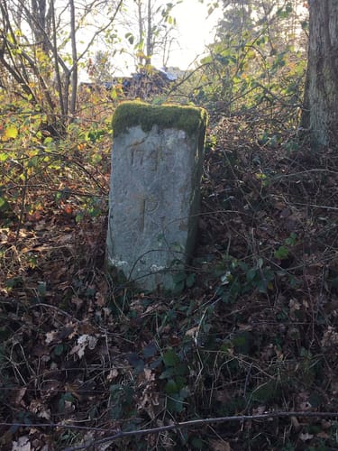 Burgruine Stauf Rundweg