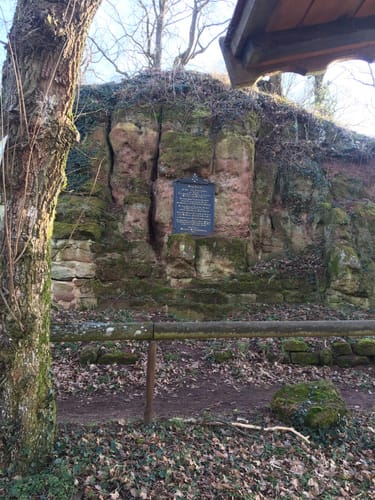 Burgruine Stauf Rundweg