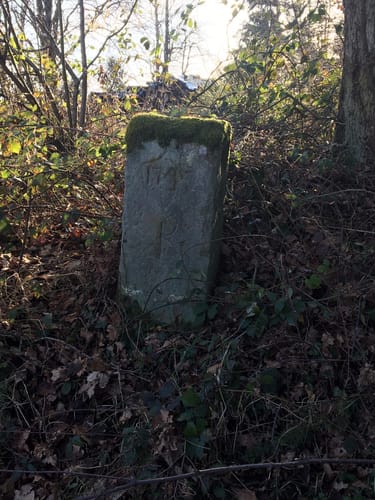 Burgruine Stauf Rundweg