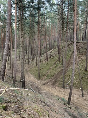 Runde am Ziebchenberg