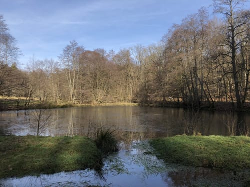 Offizierspfad Imsbach (Tafeltour)