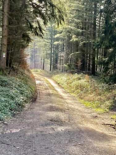 Rund um Hundsweiher-Sägemühle