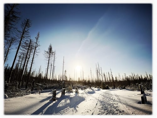 Brocken-Challenge 2022 REVERSE