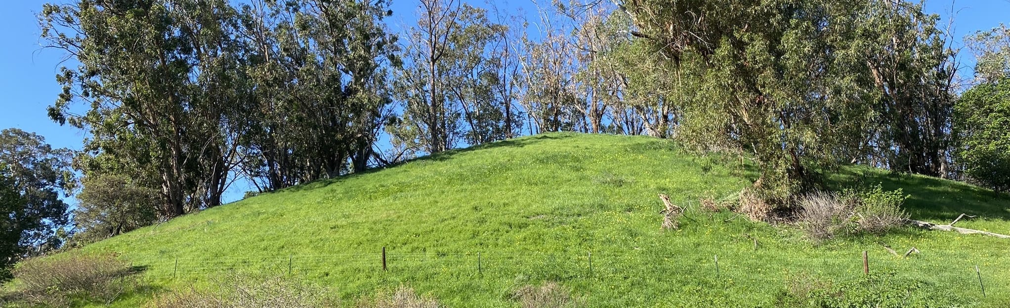 Bay Area Ridge Trail: Martinez City Streets: 34 Reviews, Map ...