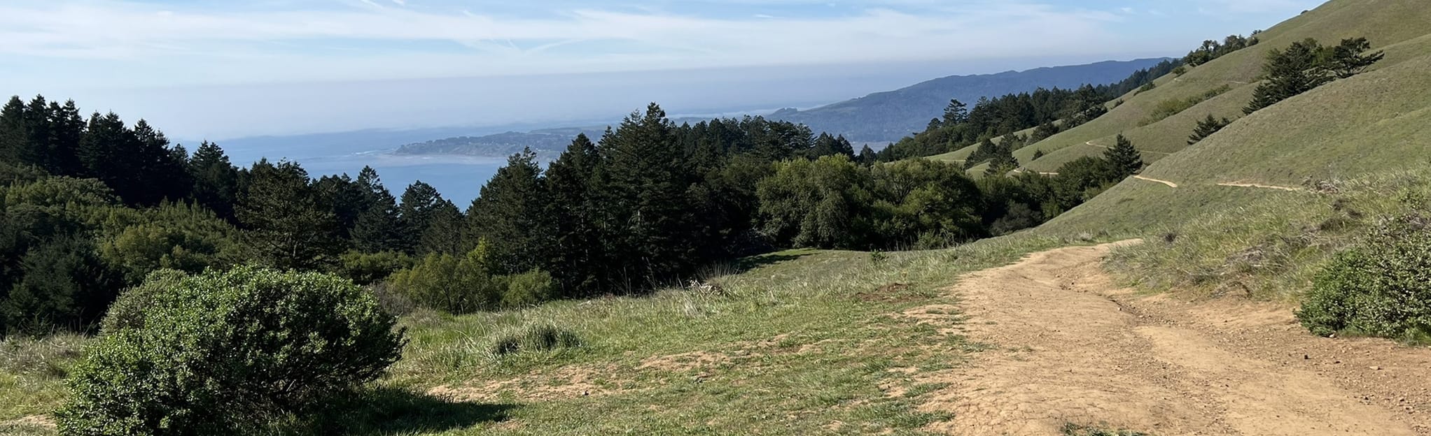 Stinson Beach and Muir Woods Loop 141 Reviews, Map California