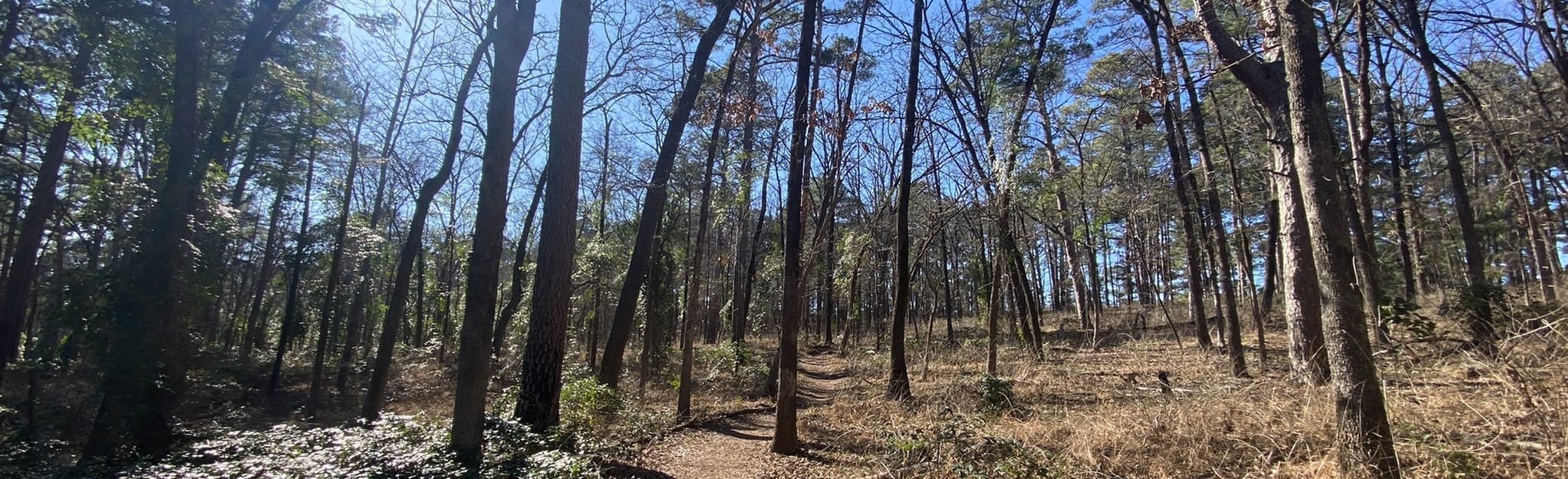 Tyler State Park C and D Loop Trail - EyJidWNrZXQiOiJhc3NldHMuYWxsdHJhaWxzLmNvbSIsImtleSI6InVwbG9hZHMvcGhvdG8vaW1hZ2UvNDQ1NjcyMTAvNjU4MjFiNzllNWRjODBmZTg4NDYxZTQzYTM2NTQ4M2MuanBnIiwiZWRpdHMiOnsidG9Gb3JtYXQiOiJqcGVnIiwicmVzaXplIjp7IndpZHRoIjoyMDQ0LCJoZWlnaHQiOjYyNCwiZml0IjoiY292ZXIifSwicm90YXRlIjpudWxsLCJqcGVnIjp7InRyZWxsaXNRdWFudGlzYXRpb24iOnRydWUsIm92ZXJzaG9vdERlcmluZ2luZyI6dHJ1ZSwib3B0aW1pc2VTY2FucyI6dHJ1ZSwicXVhbnRpc2F0aW9uVGFibGUiOjN9fX0=