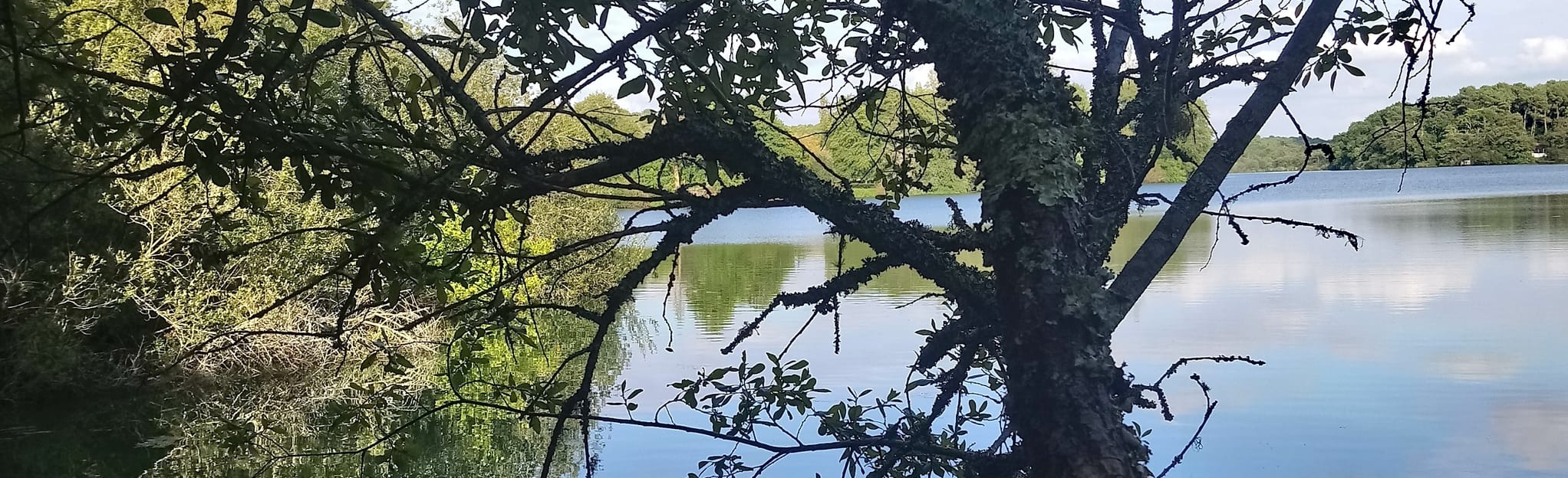 Étang Noir Landes, France AllTrails