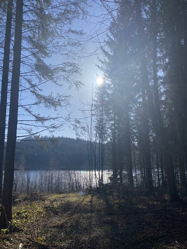 Rundwanderung Talsperre Lichtenberg