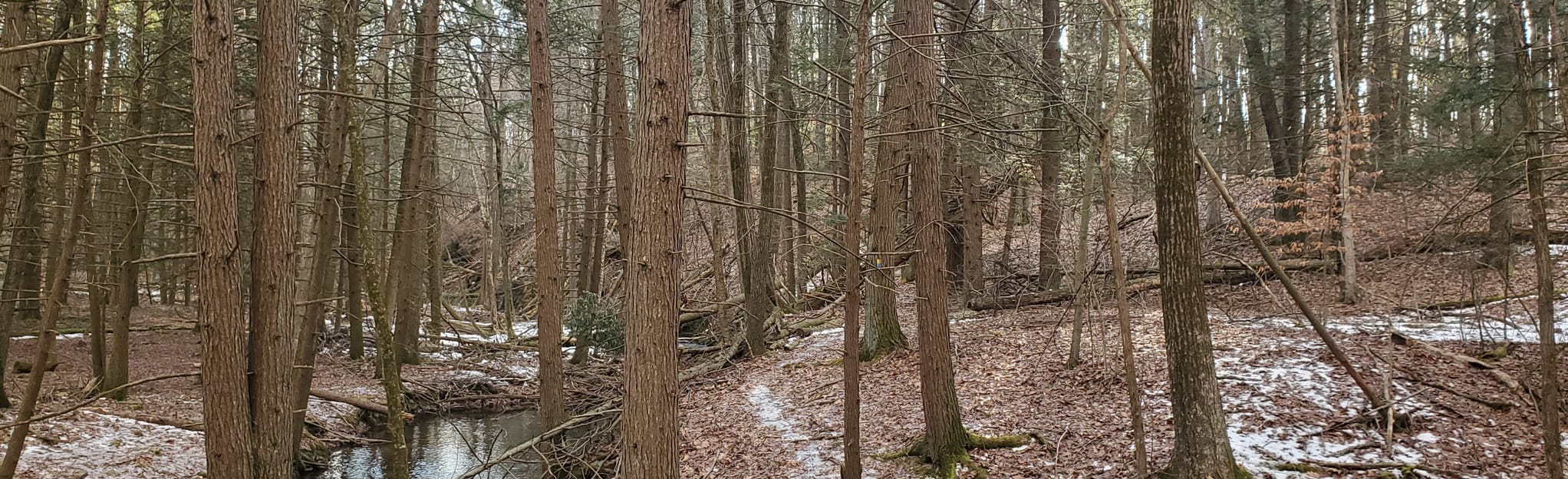 Ironstone Trail Lake Perez to MidState Trail Pennsylvania AllTrails