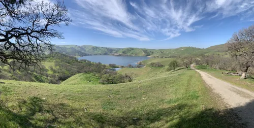 are dogs allowed at del valle regional park