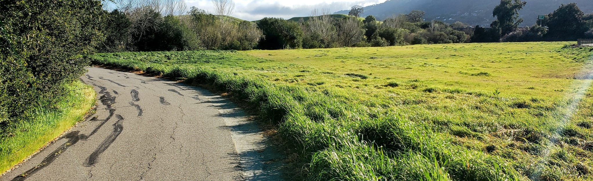 Marilyn Murphy Kane and Bernal Loop Trail: 99 Reviews, Map - California