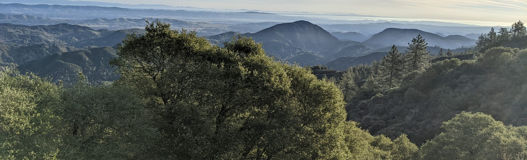 Salmon Creek Trail to Lions Den, California 57 Reviews, Map AllTrails