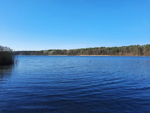Kleine Laufstrecke am Straussee