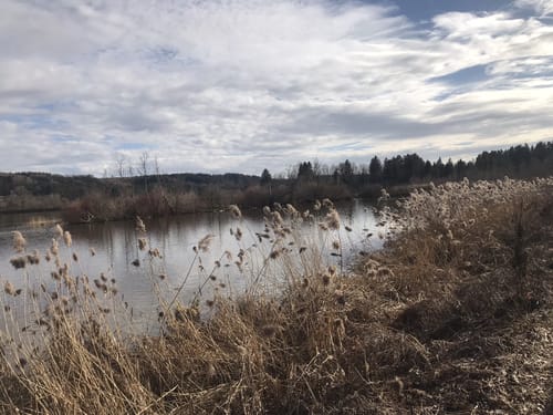 Um den Bingstetter See am Stockheim