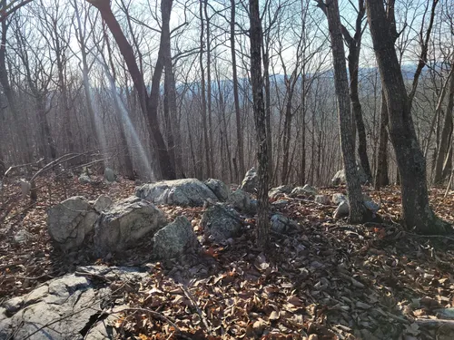 Best hikes in uwharrie national forest hotsell