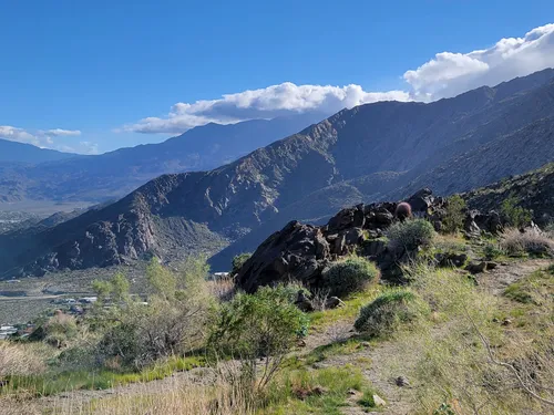 10 Best Trails and Hikes in Palm Springs | AllTrails