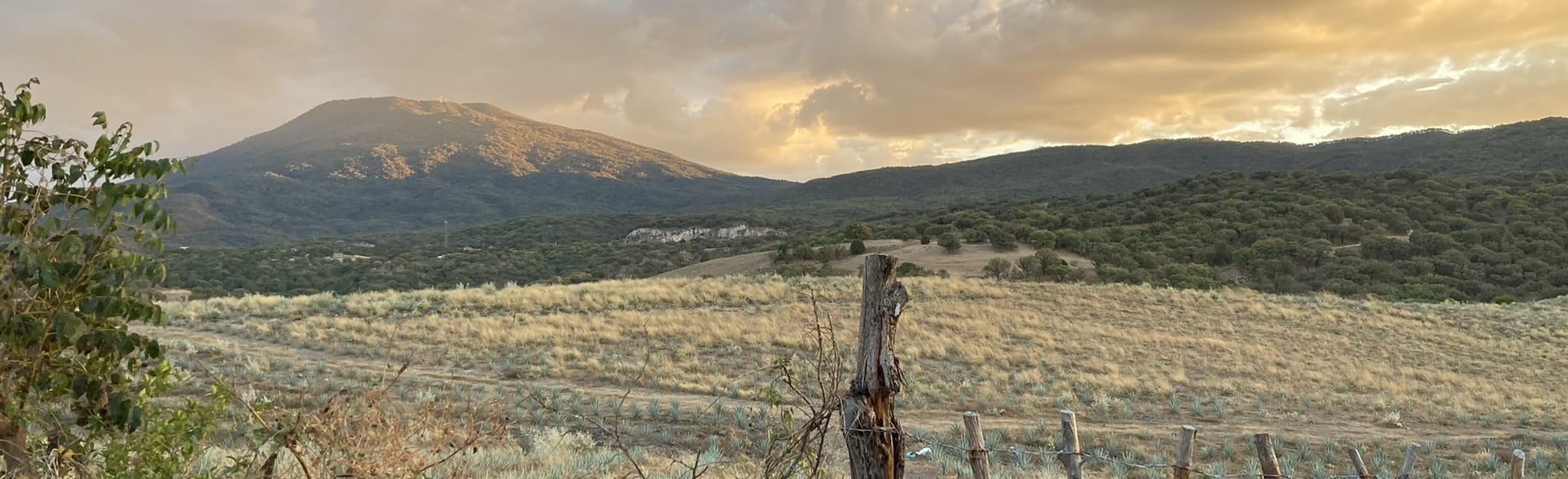 Tequila Highway, Jalisco, Mexico Map, Guide AllTrails