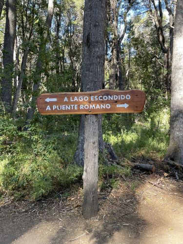 Sendero Lago Escondido: 19 Fotos - Rio Negro, Argentina