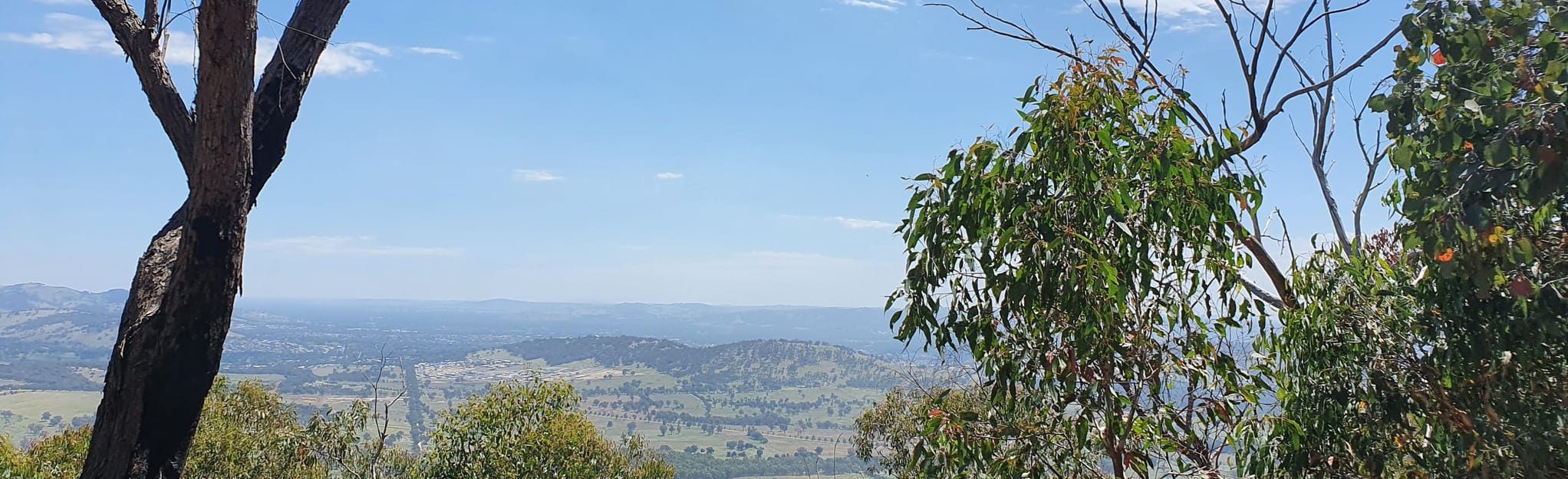 Trig Point Track via Baranduda Range Track, 20 Fotos Victoria