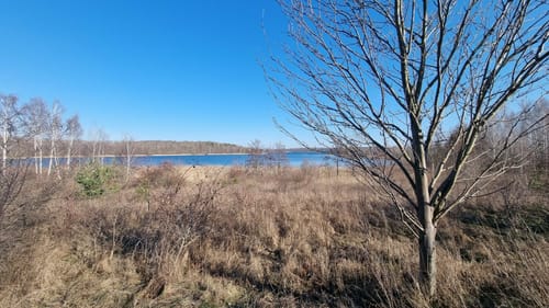 Um den Haselbacher See
