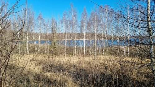 Um den Haselbacher See