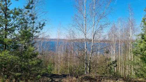 Um den Haselbacher See