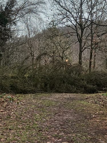 Erlebnispfad WeltWald Harz