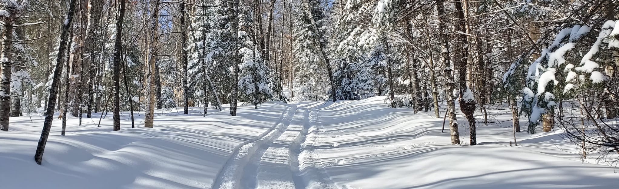 Belle Étoile et Balade, Quebec, Canada 7 Reviews, Map AllTrails