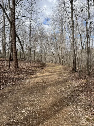 Best Hikes and Trails in Duke Forest Blackwood Division | AllTrails