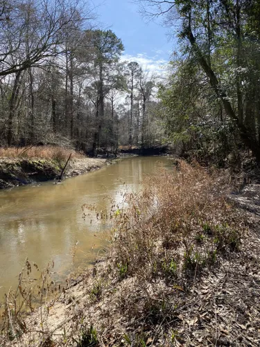 10 Best Hikes and Trails in Big Thicket National Preserve