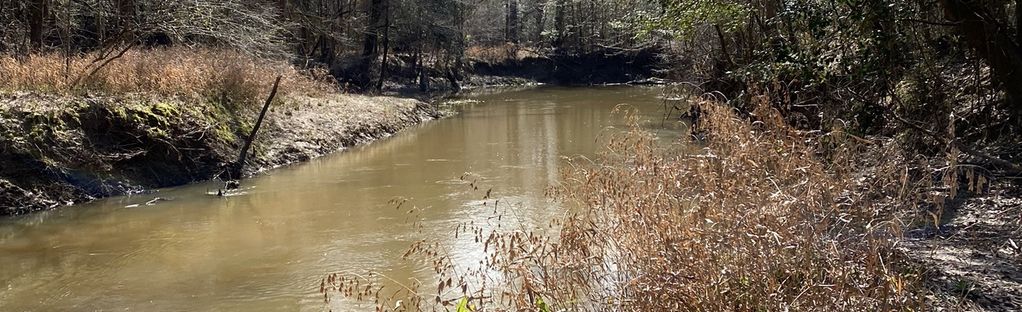 Turkey Creek Trail via Gore Store Rd, Texas - 66 Reviews, Map