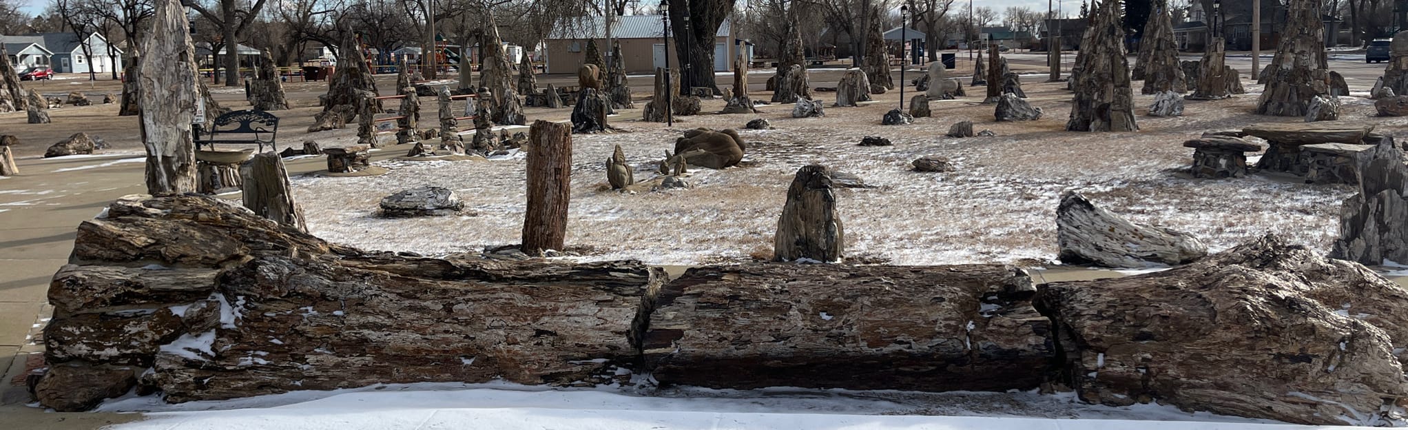 Lemmon Petrified Wood Museum, South Dakota 4 Reviews, Map AllTrails