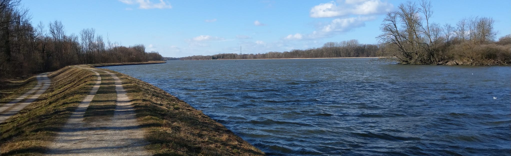 Donauauen bei Ingolstadt Wanderung - Bayern, Germany | AllTrails
