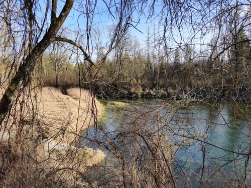 Isar Rundwanderung ab Volkmannsdorf