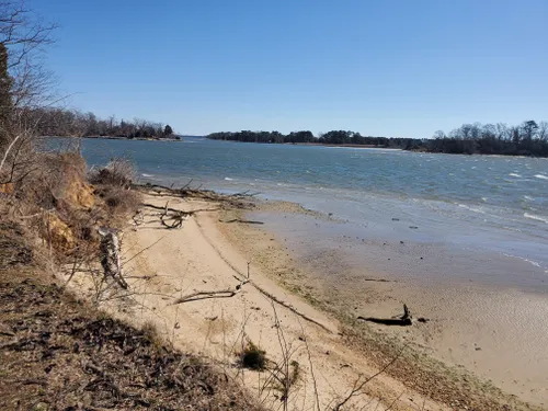 Best Hikes and Trails in Bill Burton Fishing Pier State Park