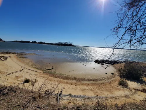 Best Hikes and Trails in Bill Burton Fishing Pier State Park