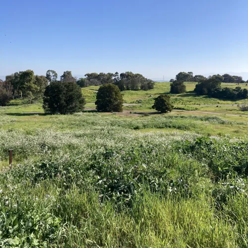 Best Hikes and Trails in Menlo Park | AllTrails