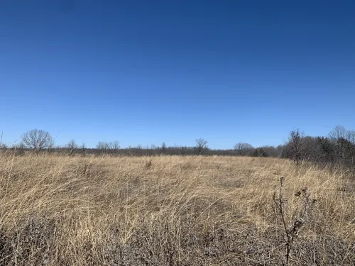 Best Hikes And Trails In Tingler Prairie Conservation Area 