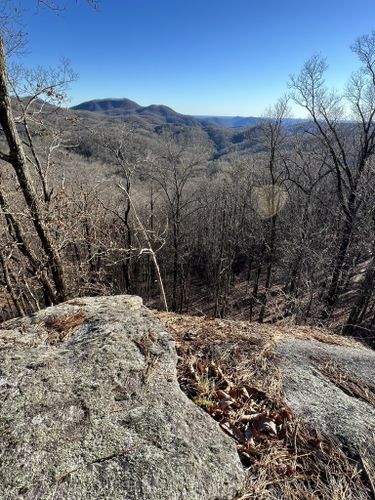 Best 10 Hikes and Trails in Jocassee Gorges Management Area | AllTrails