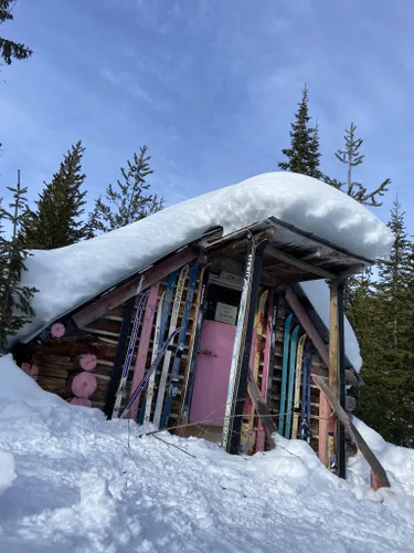 2023 Best Wild Flowers Trails In Kootenay Boundary B Lower Columbia-Old ...