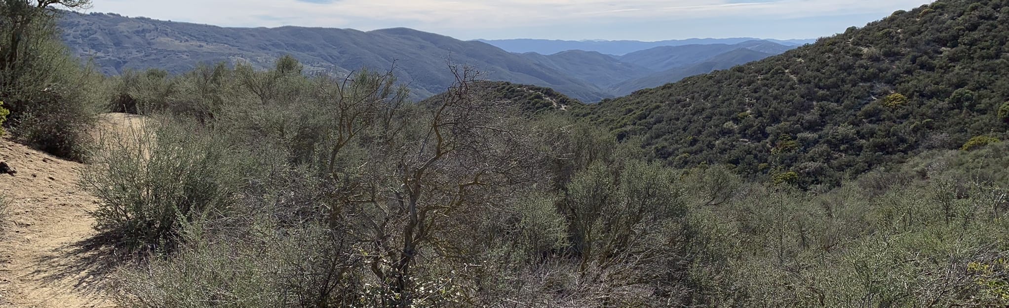 Leona Divide Truck Trail, California 25 Reviews, Map AllTrails